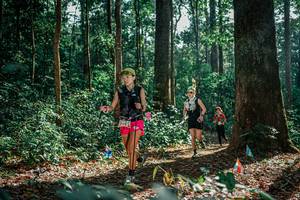 BIB: 
                            <button type="button" onclick="openModal(26129466)" class="btn btn-primary btn-sm float-right btn-popup" data-toggle="modal" data-target=".modal-high-quality">
                        <i class="fas fa-shopping-cart"></i> Add to Cart
                    </button>
                                            <button type="button" onclick="isThisMe(26129466, true)" class="btn btn-success btn-sm float-right btn-popup btn-isme hidden" data-toggle="tooltip" data-placement="bottom" title="นี่คือรูปของคุณใช่ไหม คลิกที่นี่เพื่อเอาเข้าอัลบั้ม">
                        <i class="fas fa-plus"></i> Add to album
                    </button>
                    <button type="button" onclick="isThisMe(26129466, false)" class="btn btn-warning btn-sm float-right btn-popup btn-isnotme hidden">
                        <i class="fas fa-ban"></i> Remove from album
                    </button>